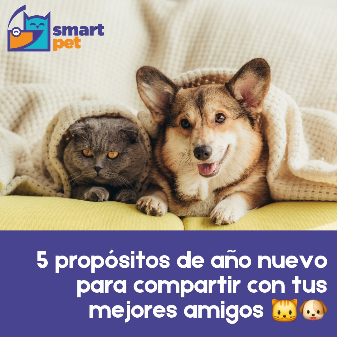 smartpet tweet media
