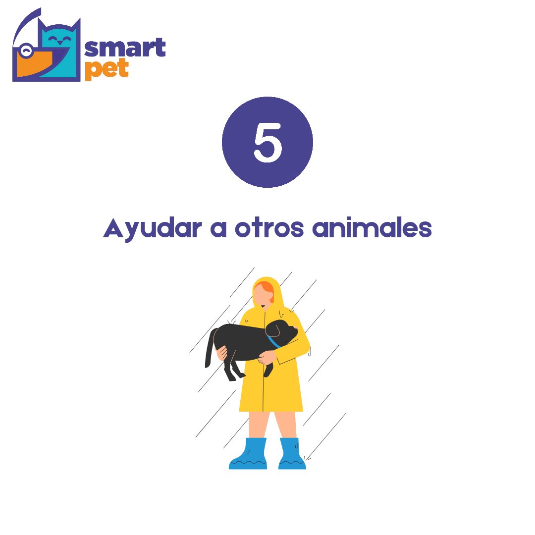 smartpet tweet media