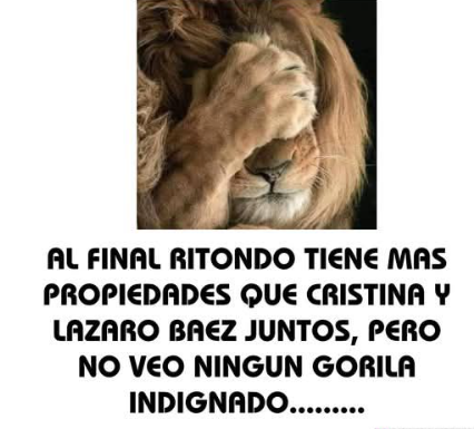 Alejandra SAT DRUBE (@i_drube) on Twitter photo 