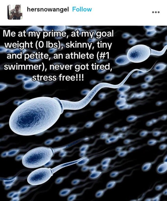 hourly motivation .☘︎ ݁˖ (@jentinyy) on Twitter photo 