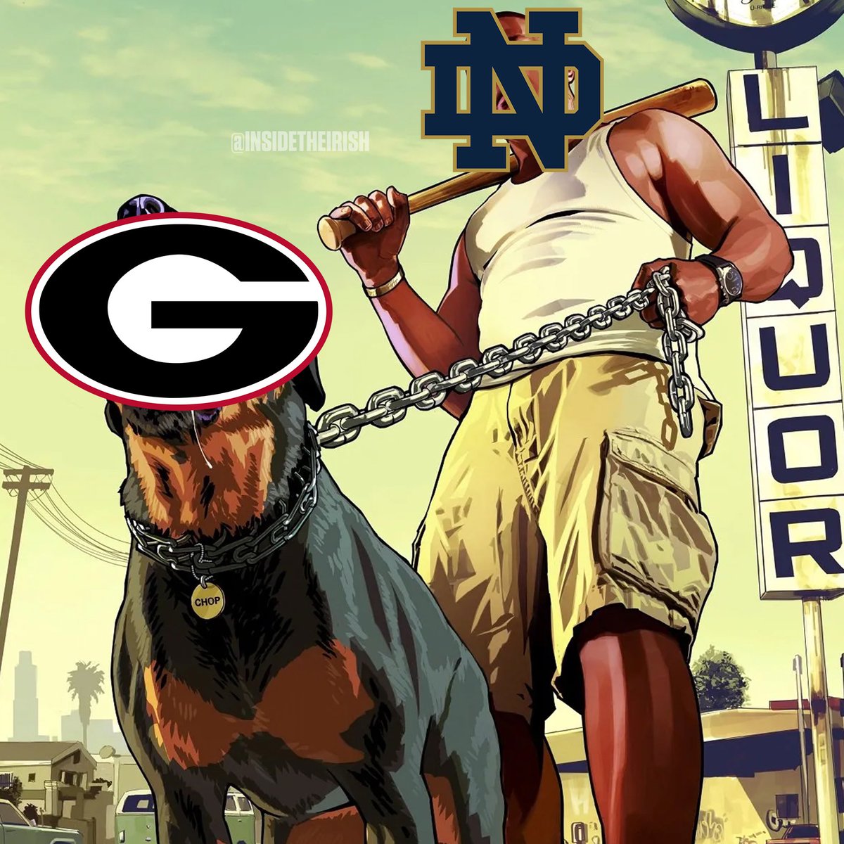 Walked the dogs. ☘️

#GoIrish #CFBPlayoff