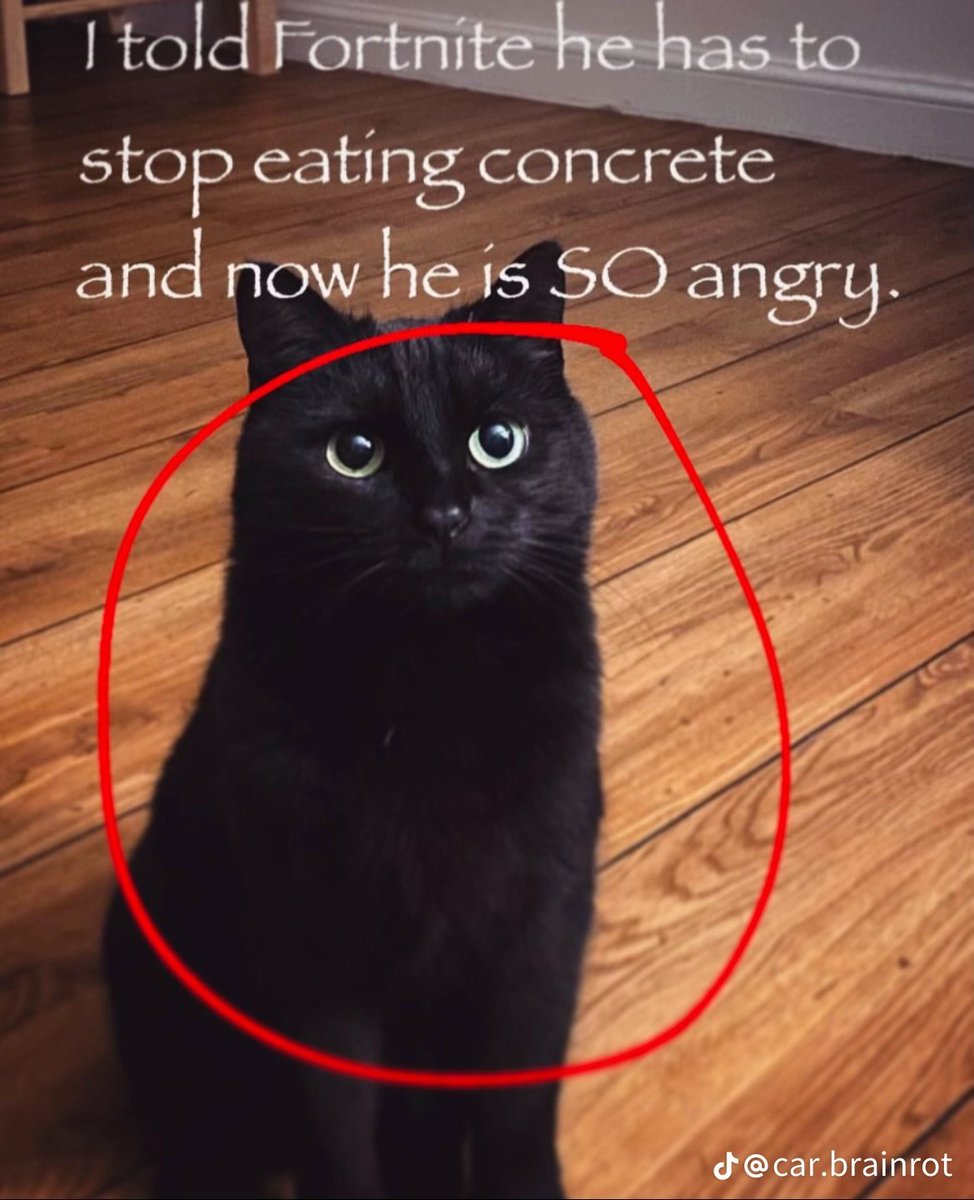 EteShucks's tweet photo. @deepvoid69 una maquina que solo es capaz de generar a gatos lindos y blnititos miau miau miau https://t.co/04sYW0Fvxz