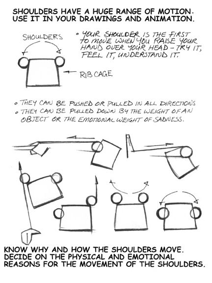 TheFramebyFrame's tweet image. Shoulders animate in strange ways sometimes, just remember these key things about just how flexible they really are!

Source: animationmentor.com/blog/animation…

#agorastudio #framebyframe #animation #animator #reference #resource #anatomy