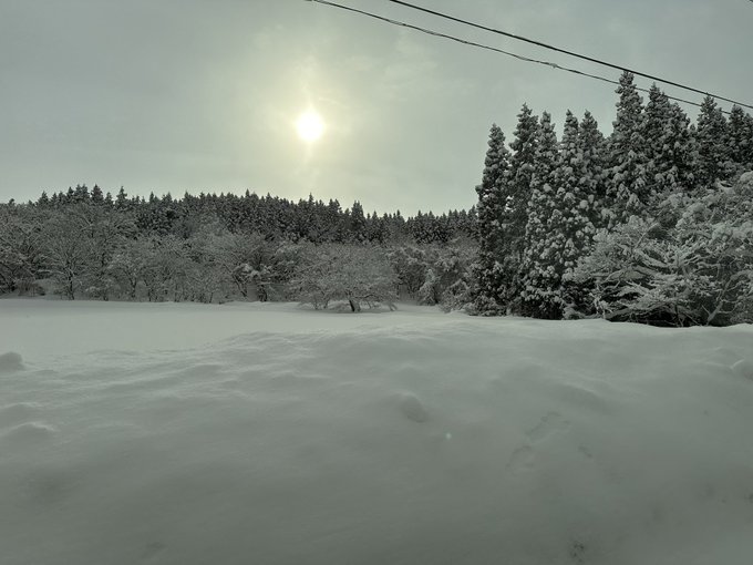 これから関東に帰ります
さらば地元また会う日まで 