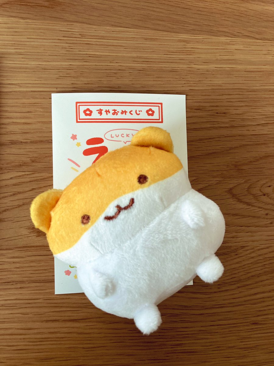 ressaapan's tweet image. #すやおみくじ