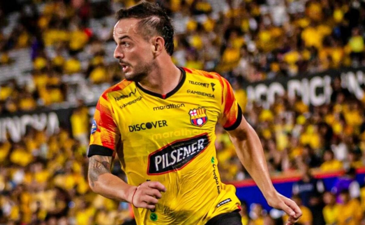 seba🦉 tweet media