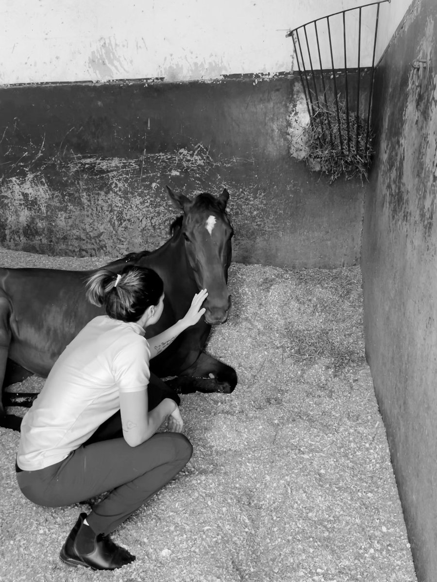 Vamos con todo campeona.🏆
Queen of Clubs🧡