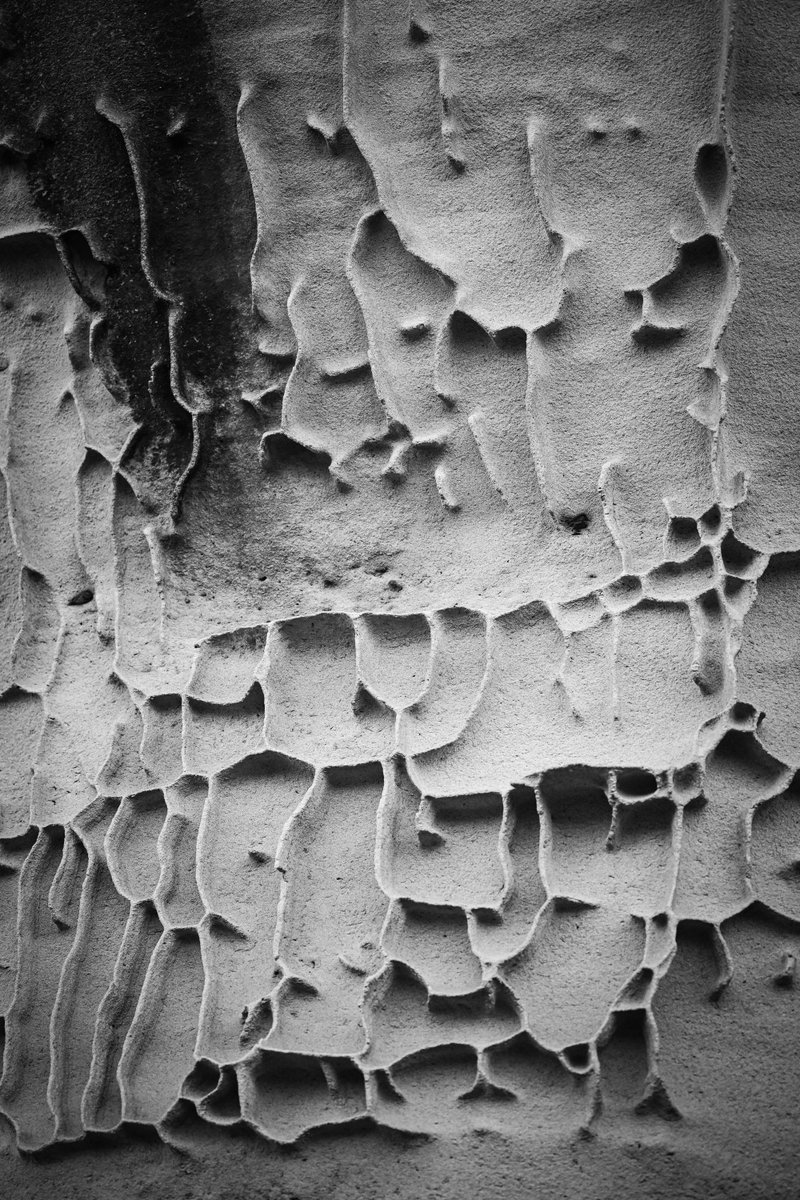 HomeWhenWalking's tweet image. 📷 6771, Patterns of Nature, Bare Island, Sydney, #Australia, December 2024 — #Support my Journey as a Stateless #Artist: sepasama.com
Follow my Instagram for Live #Walks from #Sydney in the New Year: @homewhenwalking

#Photography #Art #Nature #Walking