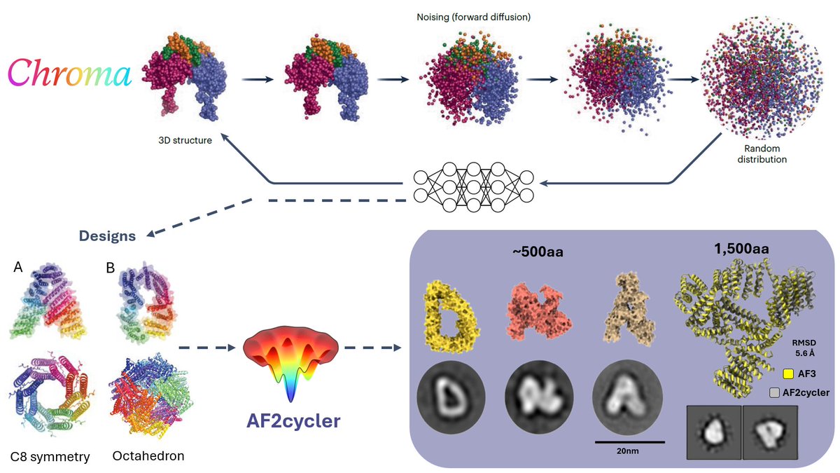 🧵1/8 In ~2020, diffusion models gained popularity with famous AIs like DALL-E. But diffusion models work well for protein design? Yes! Chroma is a diffusion model that designs proteins from scratch, with its details described in &gt;100 pages (compared to the 62p of AlphaFold2)