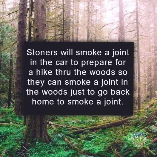 James Tate tweet media