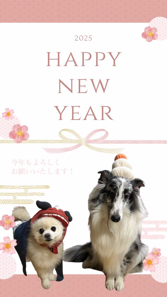 パイセンポポと。
明けましておめでとうございます✨✨

#シェルティ
#シェルティごま

instagram.com/goma_gomashio3…