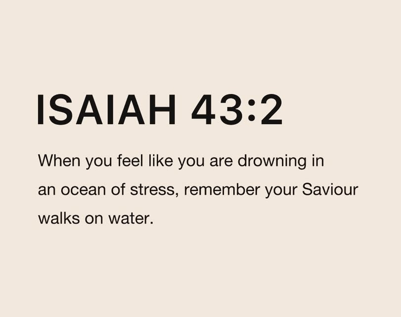 Bible365_'s tweet image. 