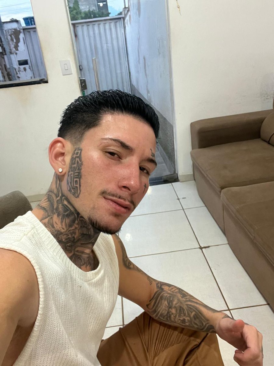 mini malvadao tweet media