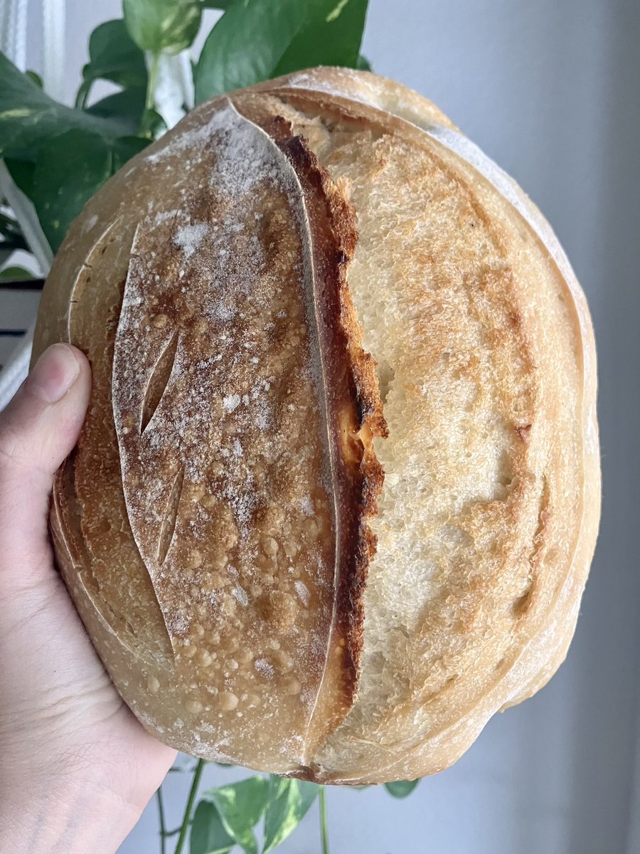 LadyofKyria's tweet photo. So you want to get into Sourdough in 2025 but are too intimidated to start?

Let me help you get into it with this bread thread🍞🧵