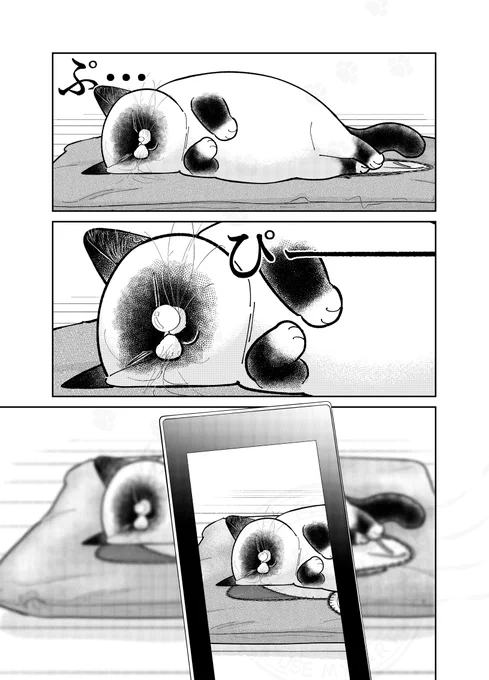 (1/2) 