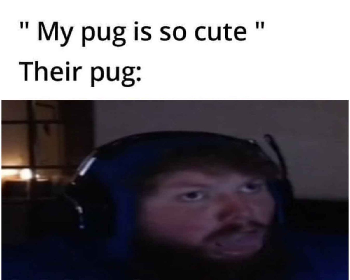 caseohOOC's tweet photo. caseoh is now live on twitch🐶💗 https://t.co/v4in4JZ5NJ