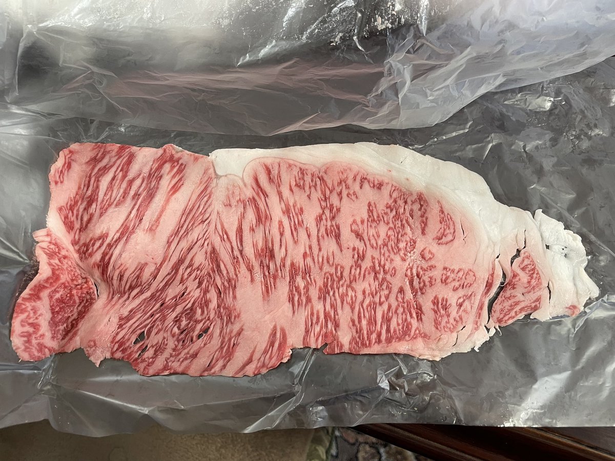 🐍Ken ken🦎 tweet media