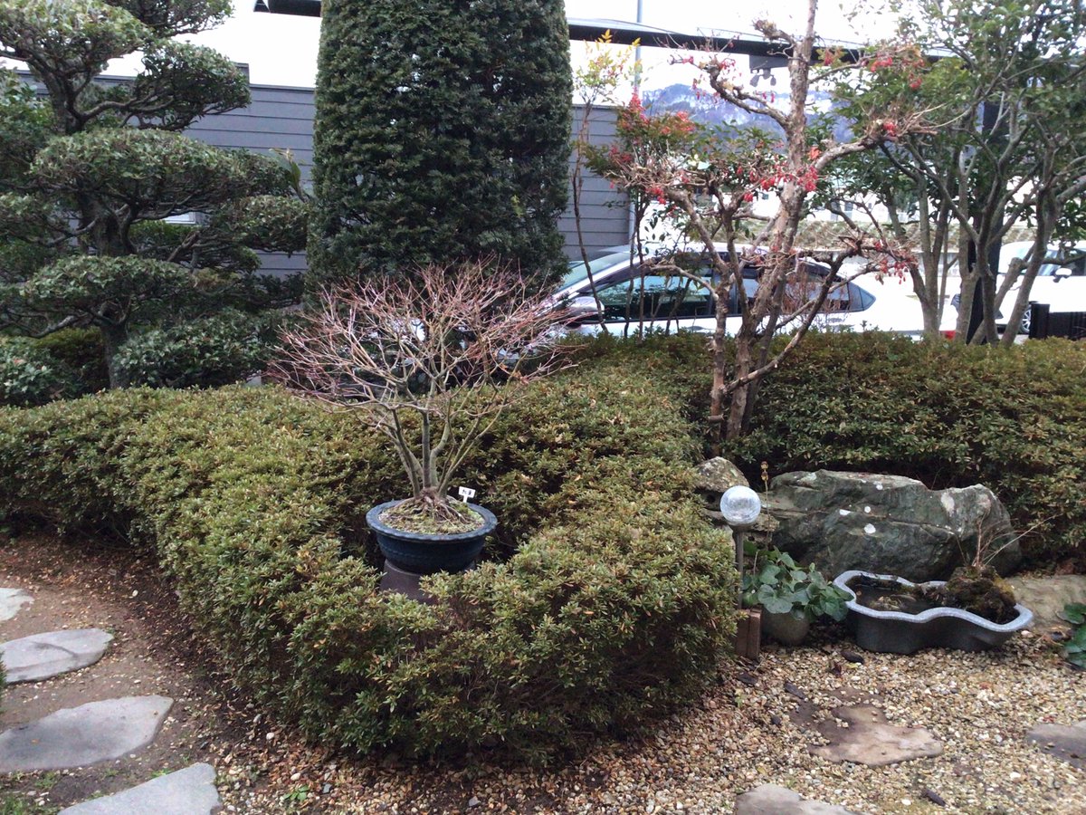 19451111's tweet photo. 20250101

　明けましておめでとうございます。
輝かしい念頭にあたり、皆様のご健康とご多幸をお祈り申し上げます。本年もどうぞよろしくお願いします。

　今朝の一句
初日さす硯の海に波もなし https://t.co/XgQv0tGhIH