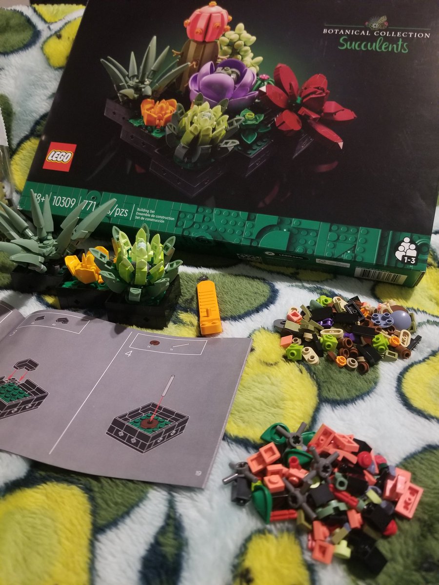 Kristen | Taxii tweet media