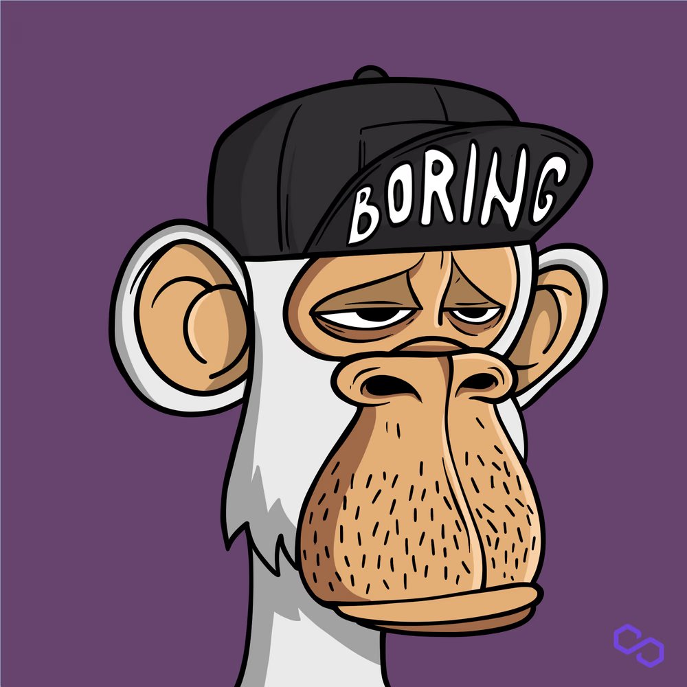 Boring Apes tweet media