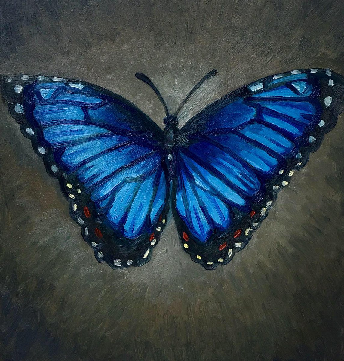 #geoffphillipsart #oil #saskatchewanartist #artworkoftheday #artwork #oilpainting #smallart #art #butterflies #butterfly