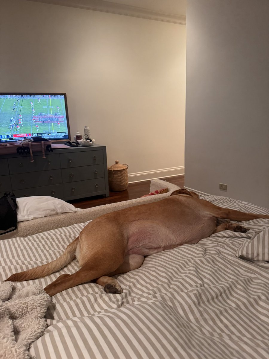 twinning101's tweet photo. Bae on a diet… needs to step it up like her boy @JuiceKiffin https://t.co/MLQH4iW0kQ