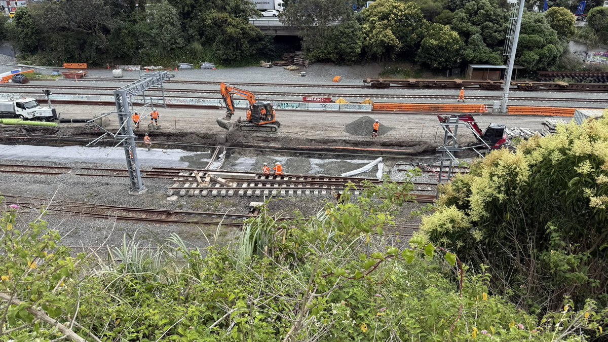 NZ Transit Buzz tweet media