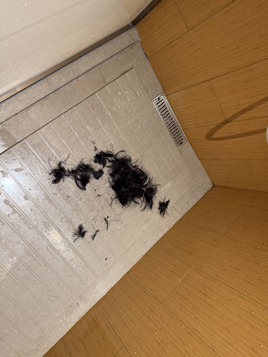 未名弟弟_s tweet media