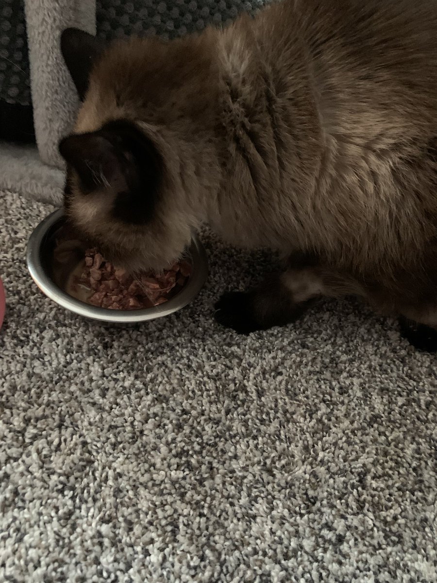 MamaPlaskett tweet media