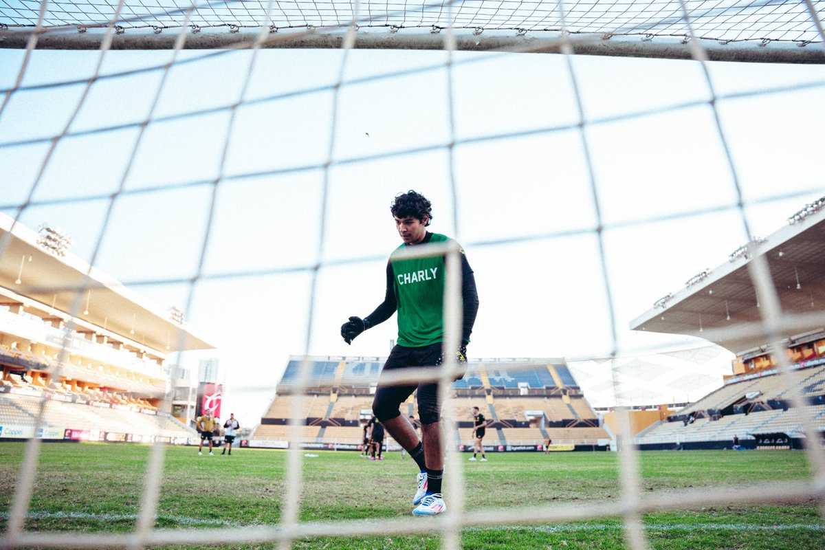 Dorados's tweet photo. 𝑻𝒂𝒓𝒅𝒆 𝒅𝒆 𝒆𝒏𝒕𝒓𝒆𝒏𝒂𝒎𝒊𝒆𝒏𝒕𝒐 𝒆𝒏 𝑳𝒂 𝑷𝒆𝒄𝒆𝒓𝒂. 🤩 https://t.co/dDY5j3sNgq