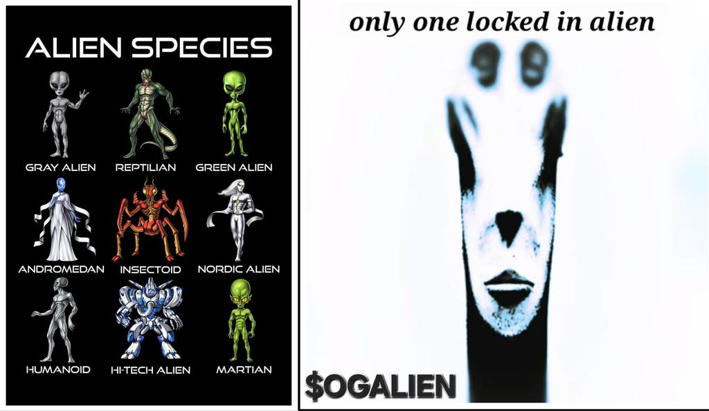 <a href="/bogmilk0/">Bog Milk</a> <a href="/JakeGagain/">JAKE</a> <a href="/breachextract/">breachextract</a> @OGALIEN_Sol the real deal from the  creator <a href="/breachextract/">breachextract</a>