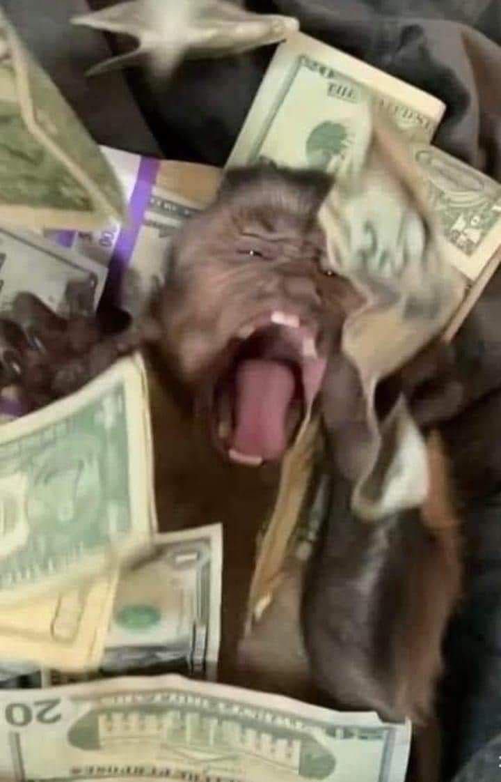 Mi vision board para este año se resume en esto: