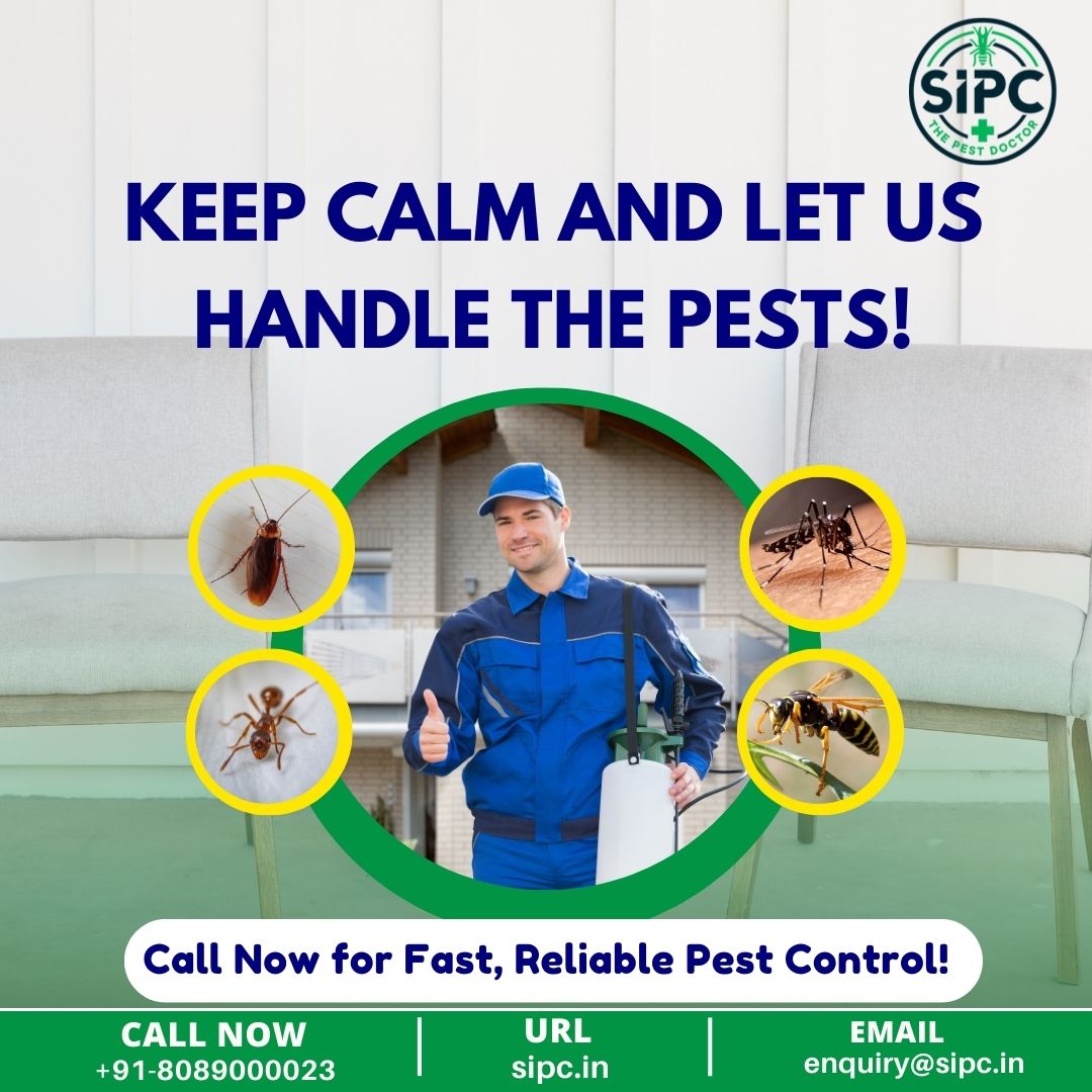 sipcpestcontrol's tweet image. &quot;𝐅𝐫𝐨𝐦 𝐚𝐧𝐭𝐬 𝐭𝐨 𝐦𝐨𝐬𝐪𝐮𝐢𝐭𝐨𝐞𝐬, 𝐰𝐞’𝐯𝐞 𝐠𝐨𝐭 𝐚𝐥𝐥 𝐭𝐡𝐞 𝐬𝐨𝐥𝐮𝐭𝐢𝐨𝐧𝐬 𝐲𝐨𝐮 𝐧𝐞𝐞𝐝! 🐜🦟 
Call us for a consultation today! 🏡🦟🚫 
#PestControlExperts #SafeAndClean #SIPCPromise #NoMorePests #SIPCPestSolutions #PeaceOfMind