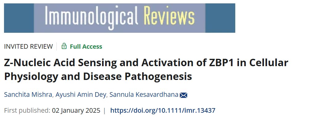 Kesavardan S (@keshu_vrimmch) on Twitter photo Pleased to share our recent review article on the emerging biology of Z-nucleic acids (Z-RNA/Z-DNA) and their sensing by #ZBP1 in virus infections, cellular physiology and disease pathogenesis.
Great work by <a href="/SanchitaMishr20/">Sanchita Mishra</a> &AyushiAminDey.
onlinelibrary.wiley.com/doi/full/10.11… Pleased to share our recent review article on the emerging biology of Z-nucleic acids (Z-RNA/Z-DNA) and their sensing by #ZBP1 in virus infections, cellular physiology and disease pathogenesis.
Great work by <a href="/SanchitaMishr20/">Sanchita Mishra</a> &AyushiAminDey.
onlinelibrary.wiley.com/doi/full/10.11…