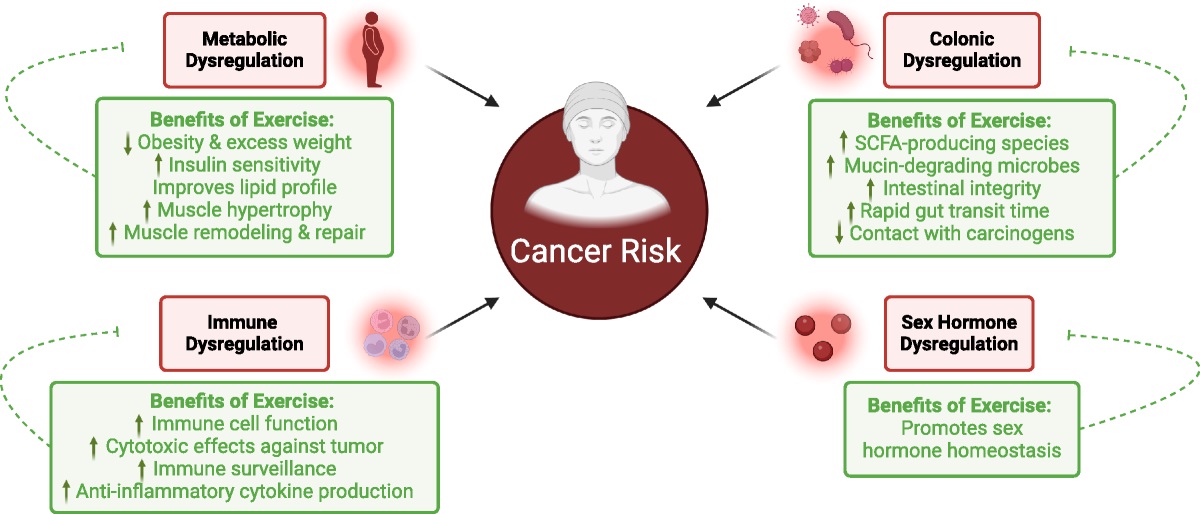 Dr Ai Lyn Tan tweet media