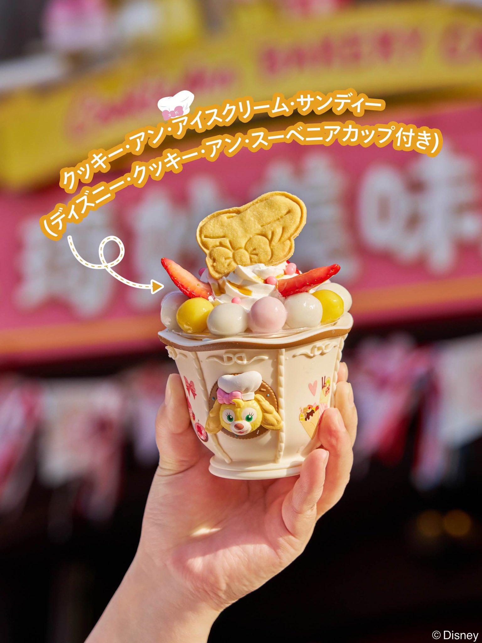 夏日限定 クッキーアン ぬいぐるみSS |上海ディズニー – リーナ