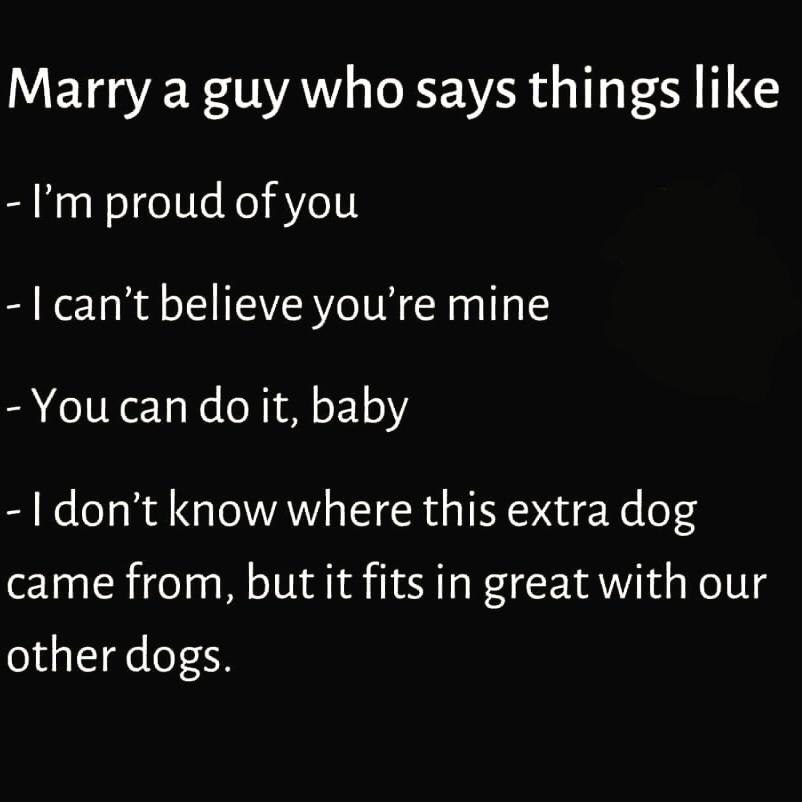 Heckin Good Dogs (@heckingooddogs) on Twitter photo 