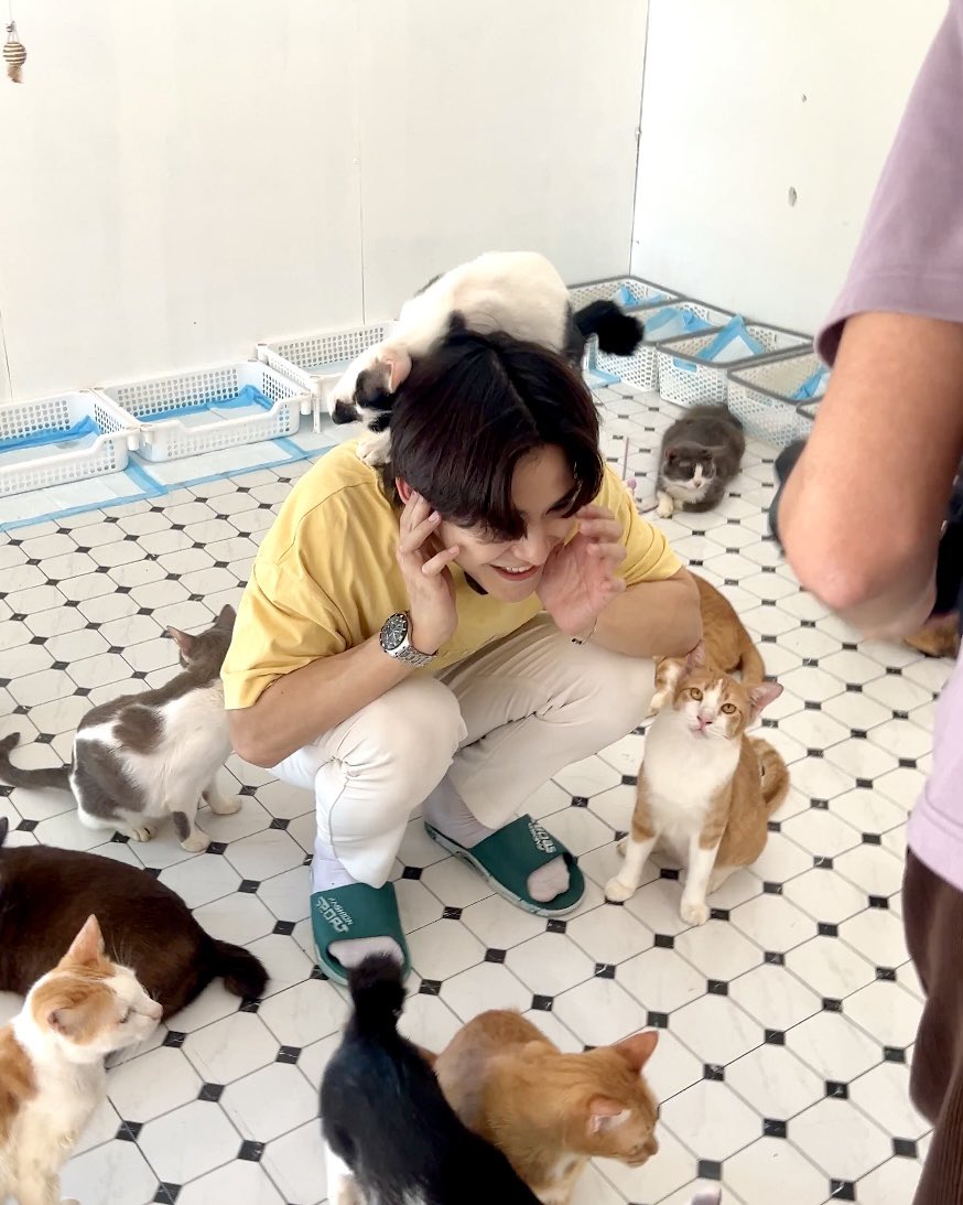 PStufe's tweet photo. หนุ่มหล่อที่ใจดีขนาดนี้ เป็นของน้องๆ ทุกตัวนะครับ 🐶🐱
🗓️ เสาร์นี้ เวลา 14.00 น.
📺 Youtube : Influduction
#Influduction #firstpiyangkull #เฟิร์สปิยังกูร #แมวดื้อของเฟิร์ส #InfluencerExchange https://t.co/ZkSt86JOAI