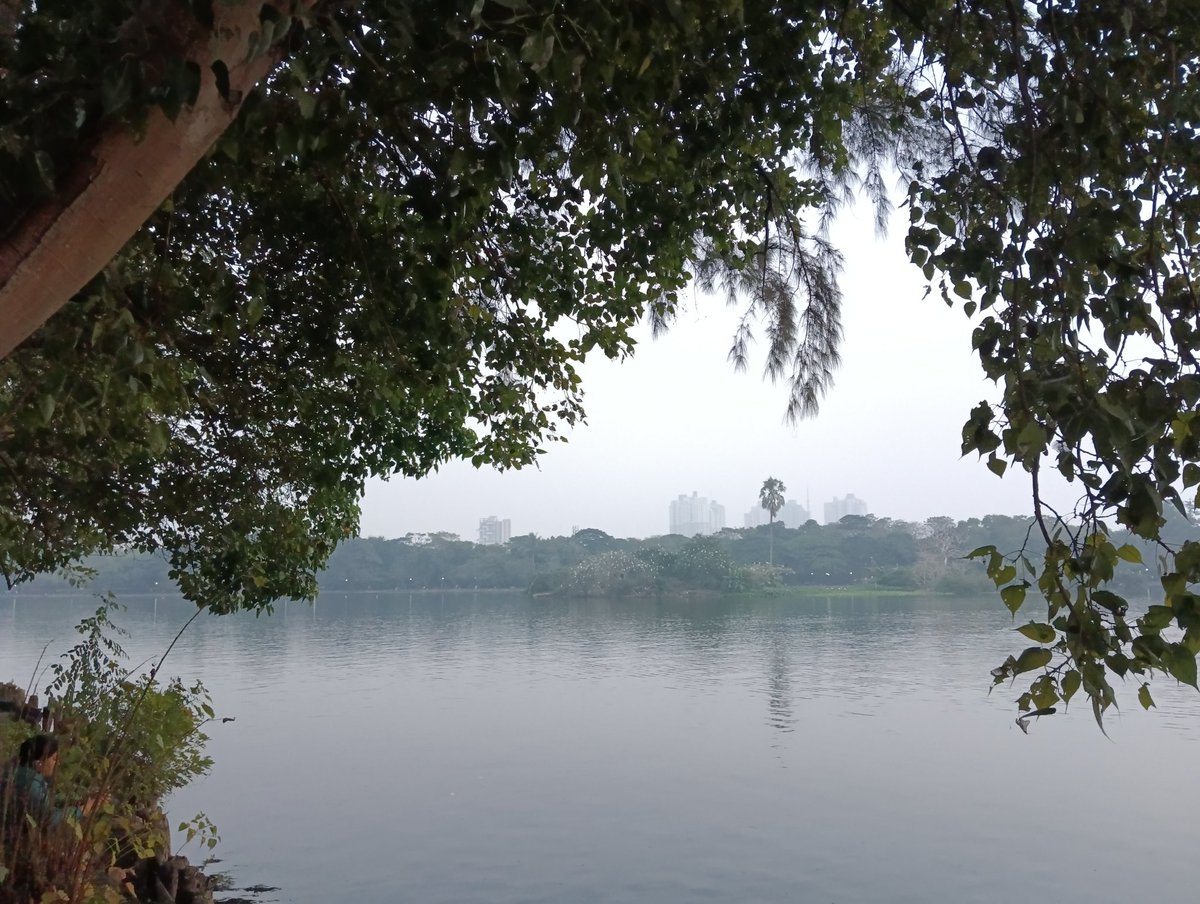 Have a safe and peaceful 2025 ❤ #HappyNewYear