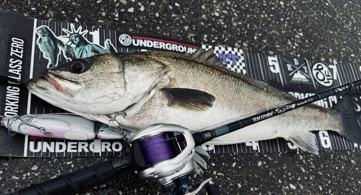tsurineet's tweet photo. K9ヨタ
今年はシーバスの釣行を減らす予定ですが、魚が変わっても釣り方自体は変わらないので、2025年もよろしくお願いします
#79remix
#klash9
#ytmk
#drt https://t.co/2vFpyBRK1a