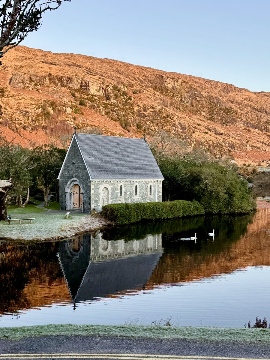 Let’s just add 2 swans to warm your winter morning scene🦢🦢
