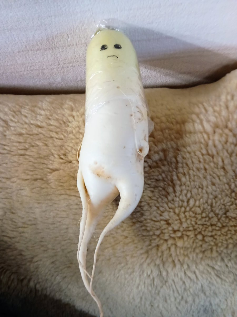 （大根）食べないでぇ