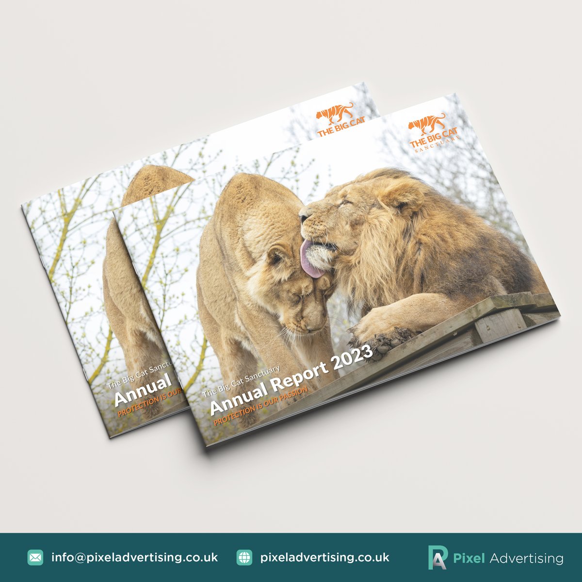 Pixel Advertising (@pixelad2020) on Twitter photo We're proud to have partnered with <a href="/TheBigCatSanct/">The Big Cat Sanctuary</a> to create a beautiful and informative annual report and accounts brochure. This showcases their mission and inspires support. It's always a pleasure to work with companies that have such a positive impact on the world.
#bigcats We're proud to have partnered with <a href="/TheBigCatSanct/">The Big Cat Sanctuary</a> to create a beautiful and informative annual report and accounts brochure. This showcases their mission and inspires support. It's always a pleasure to work with companies that have such a positive impact on the world.
#bigcats