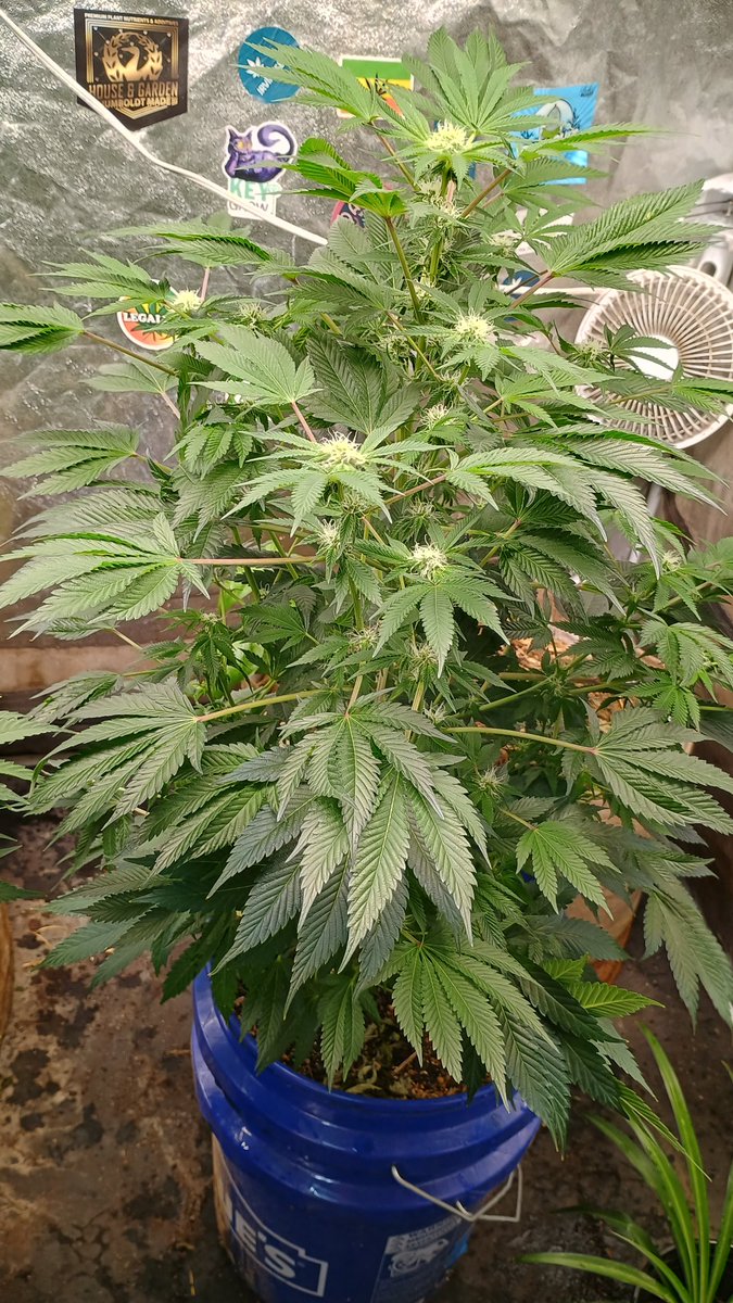 DjVisionaire tweet media