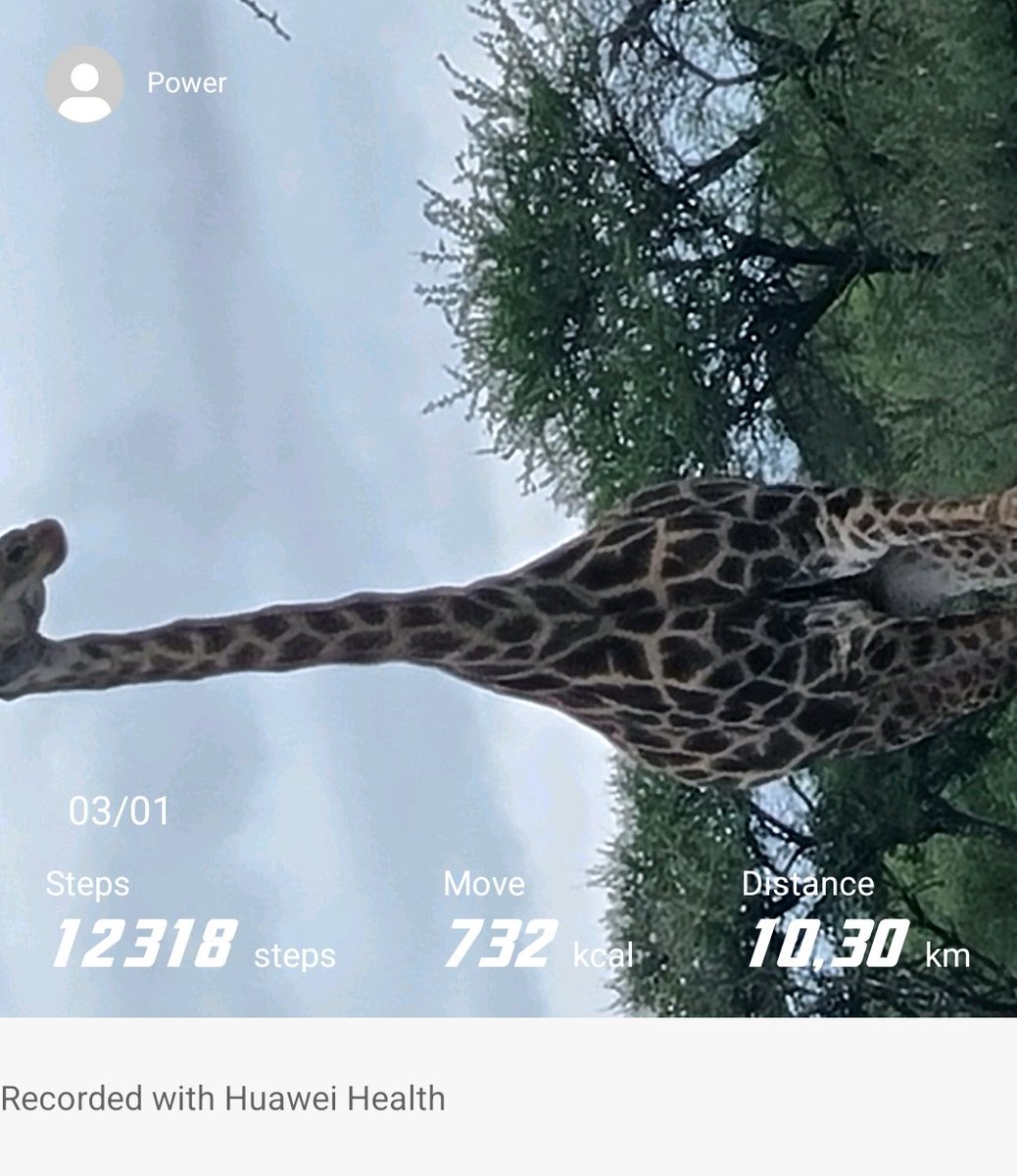 Mandla Sibanyoni tweet media