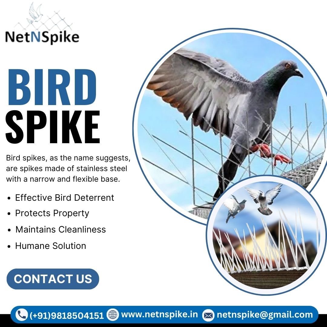 netnspike's tweet photo. Protect your spaces with BirdSpike from Netnspike! Durable, humane, and effective solutions to keep birds away and maintain cleanliness. Safeguard your surroundings today! π¦β¨
#BirdControl #PestPrevention #Netnspike https://t.co/l0evR6KGRC