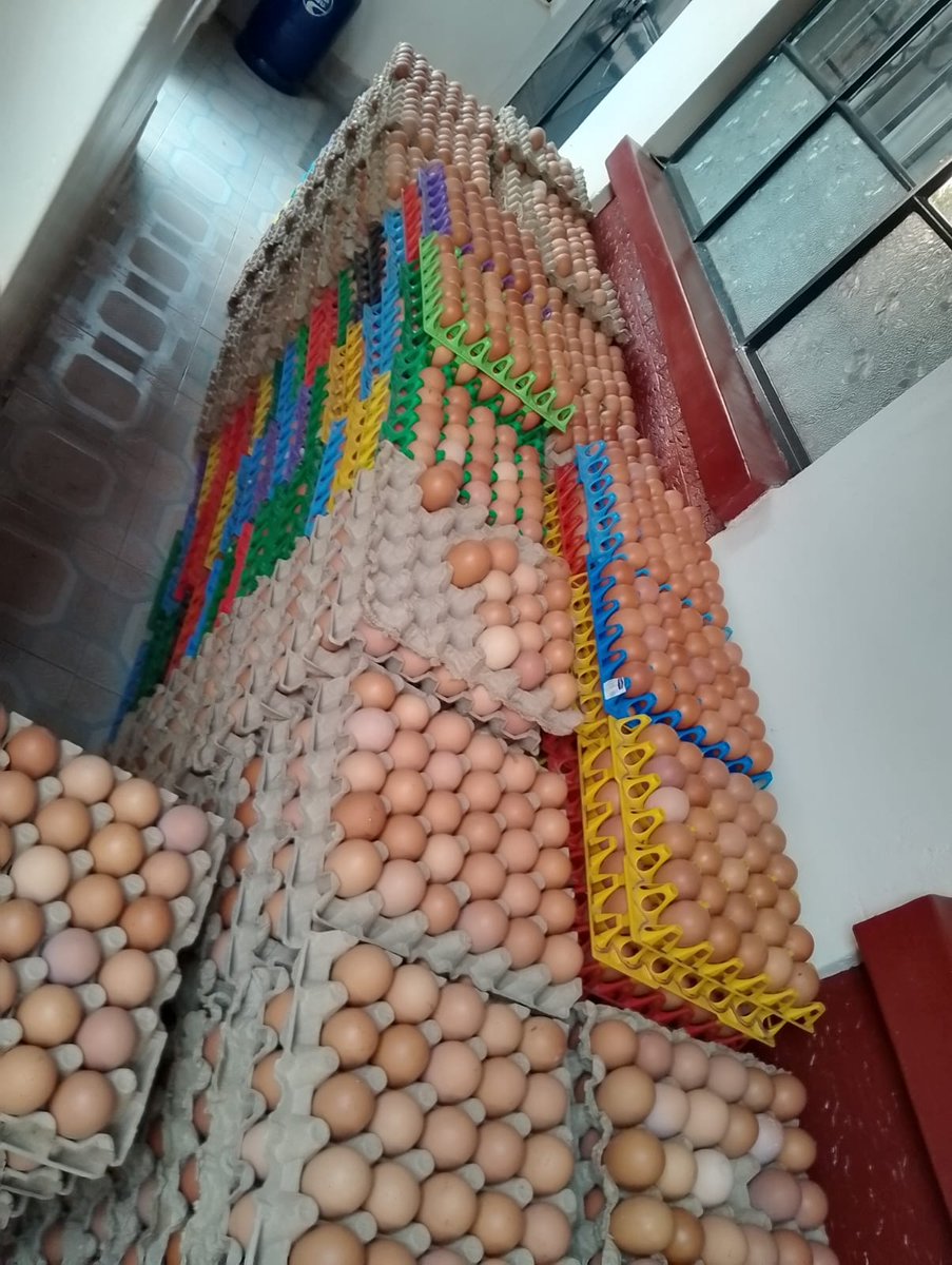 _Kyalogabriel's tweet image. Hello everyone,
My mum has eggs from her poultry farm for sale. A tray goes for ksh360. Available for pickup or delivery within Thika.
To place an order DM or WhatsApp 0724504885
Please RT, my next client could be on your timeline. Thanks!