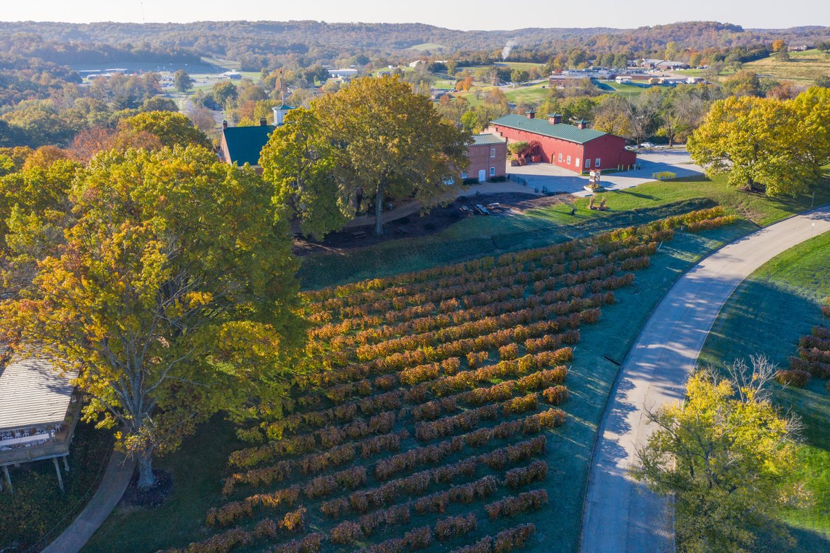 Dorisdateline's tweet photo. I enjoyed visiting the wine town of Hermann, Missouri last year. Here's my article in Selector Magazine about the historic town and its famous wines. Turn to page 110 to begin reading. Thanks.  https://t.co/iq5uOvMvMK https://t.co/N7nFxGQZZA