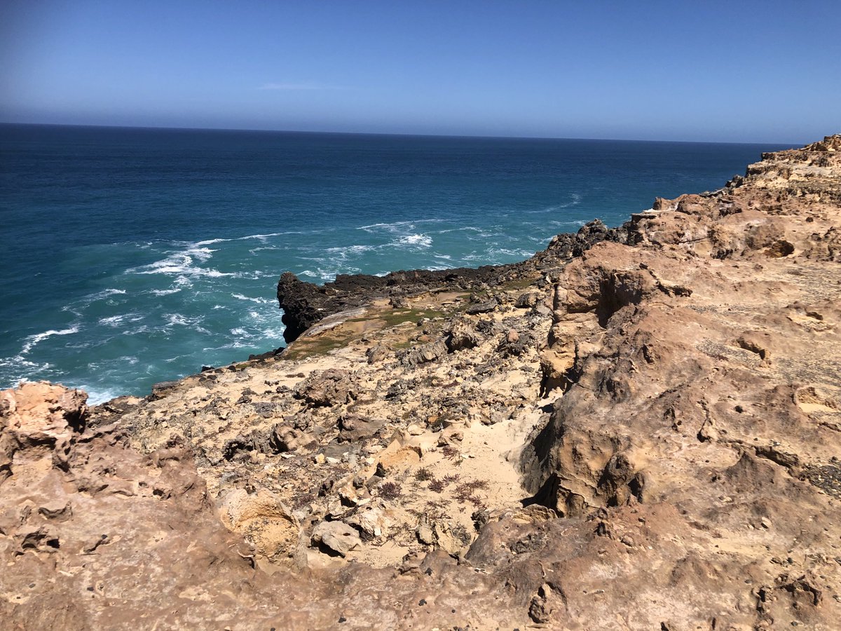 Great day in Cape Bridgewater today one of the best beaches around ☀️☀️