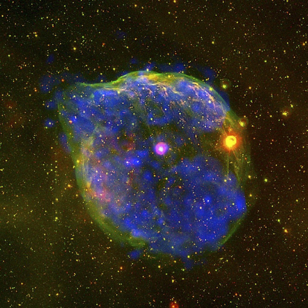 Wolf–Rayet stars are blue, luminous &amp; very massive: they are losing mass due to strong stellar wind and are very hot with strong emissions in ultraviolet &amp; X-rays: their life are short because they evolve quickly to a supernova.

Image: X-ray, Newton ESA Wolf-Rayet HD50896
